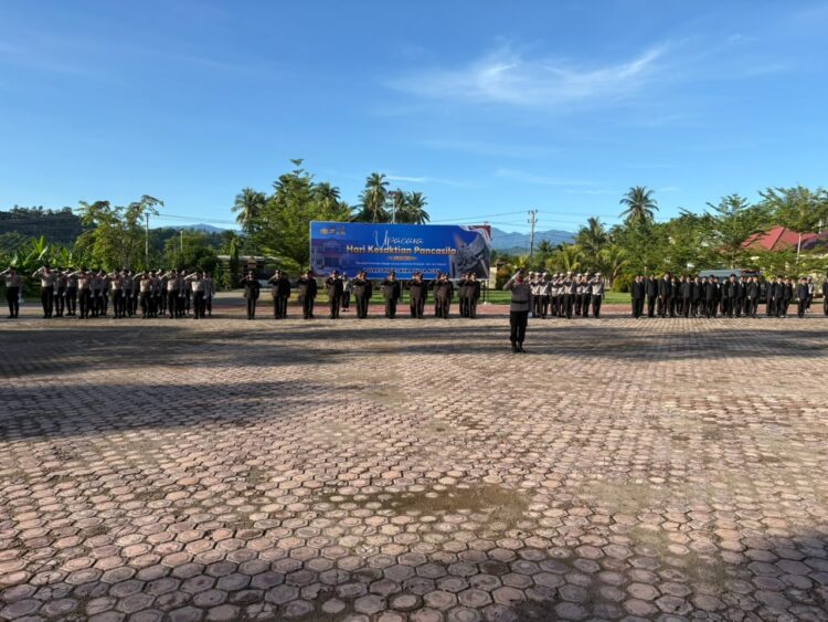 Ⓒ Hak cipta foto di atas dikembalikan sesungguhnya kepada pemilik foto Ⓒ Hak cipta foto di atas dikembalikan sesungguhnya kepada pemilik foto
