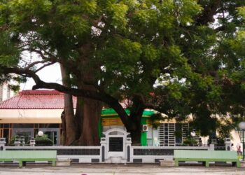 Ⓒ Hak cipta foto di atas dikembalikan sesungguhnya kepada pemilik foto