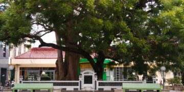 Ⓒ Hak cipta foto di atas dikembalikan sesungguhnya kepada pemilik foto