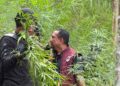 Ⓒ Hak cipta foto di atas dikembalikan sesungguhnya kepada pemilik foto