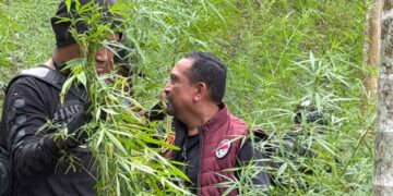 Ⓒ Hak cipta foto di atas dikembalikan sesungguhnya kepada pemilik foto