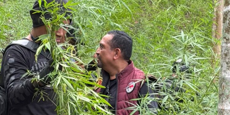 Ⓒ Hak cipta foto di atas dikembalikan sesungguhnya kepada pemilik foto