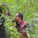 Ⓒ Hak cipta foto di atas dikembalikan sesungguhnya kepada pemilik foto